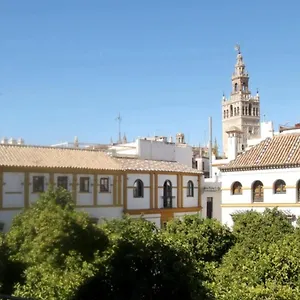 En La Plaza Doña Elvira, 7 Sevilla